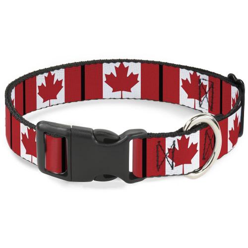 dog collars canada